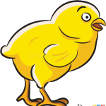 How to Draw Yellow Chicken, Farm Animals