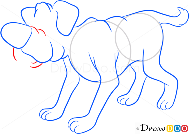 How to Draw Dog, Farm Animals