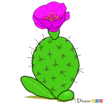 How to Draw Cactus, Flowers