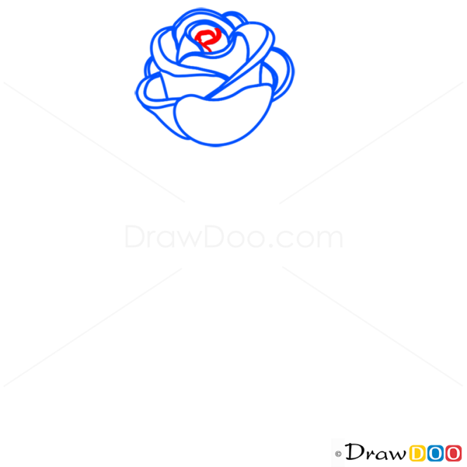 How to Draw Rose easy, Flowers
