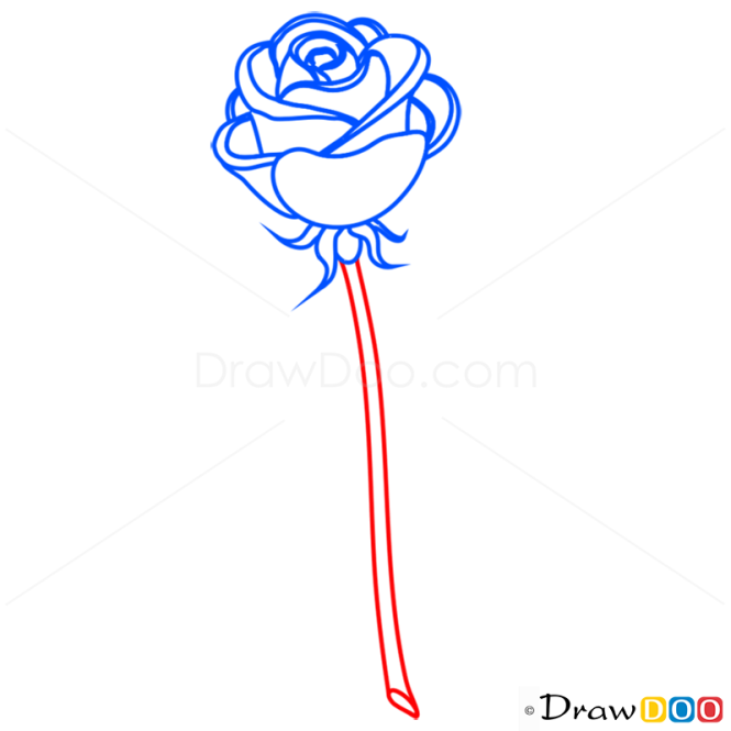 How to Draw Rose easy, Flowers