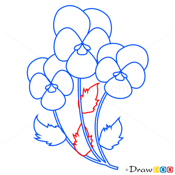 How to Draw Iris, Flowers