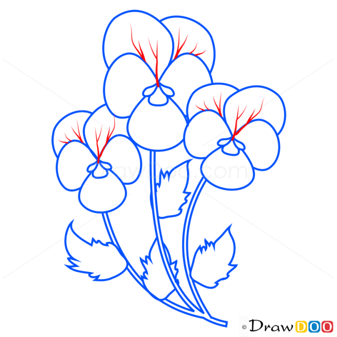 How to Draw Iris, Flowers