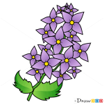 How to Draw Lilac, Flowers