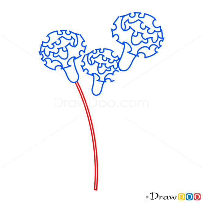 How to Draw Carnation, Flowers