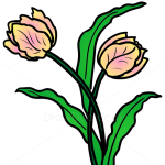 How to Draw 2 Tulips, Flowers