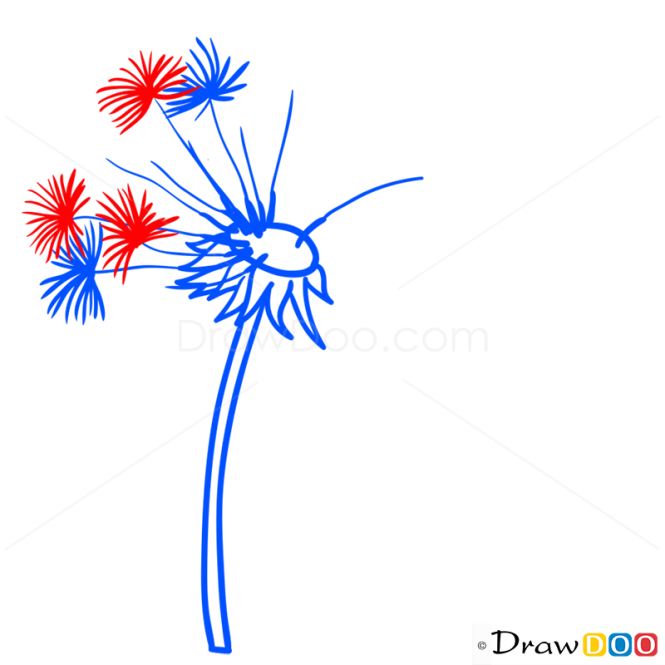 How to Draw Blowball, Flowers