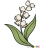 How to Draw Lily of Valley, Flowers