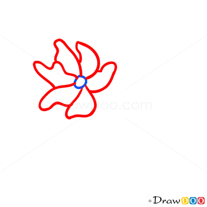 How to Draw Sakura, Flowers