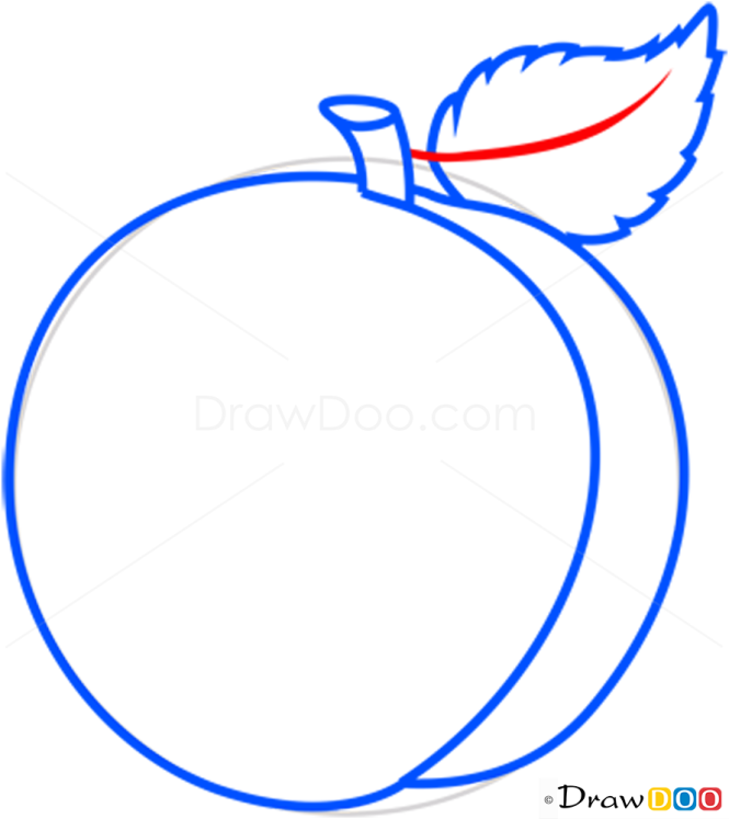 How to Draw Peach, Fruits