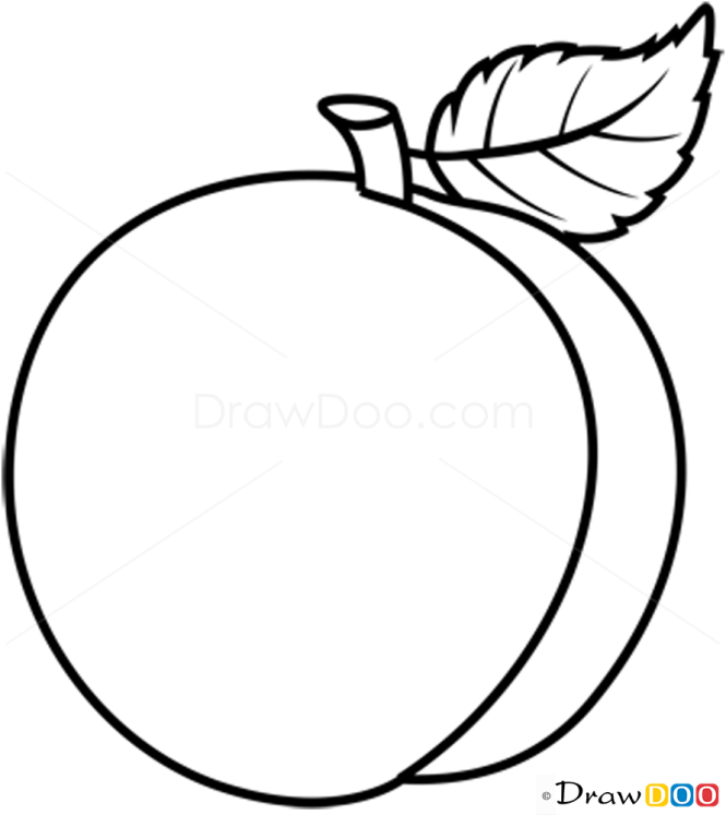 How to Draw Peach, Fruits