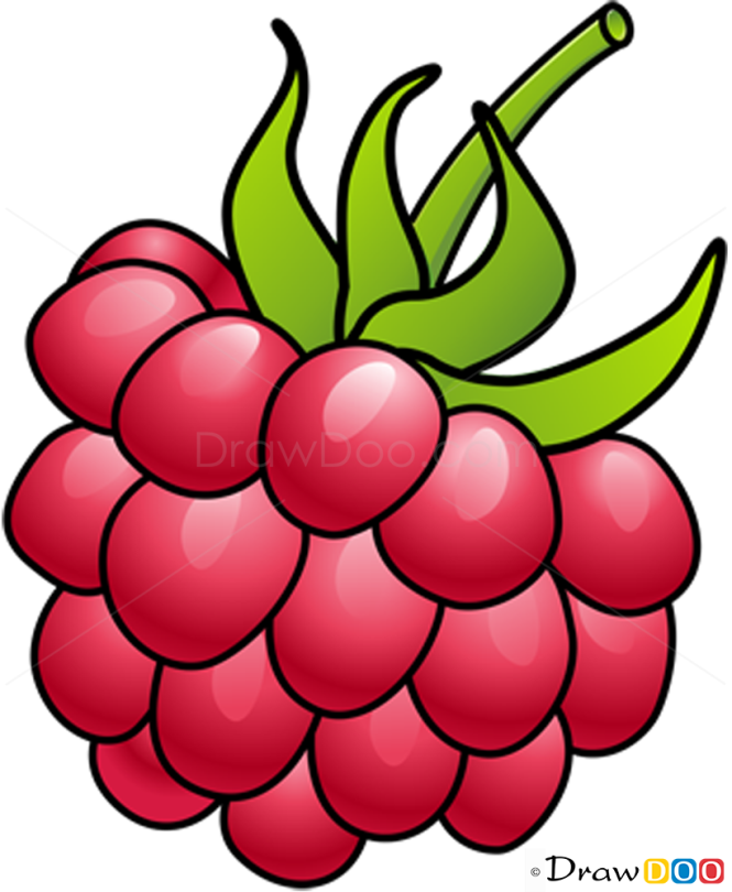 How to Draw Raspberry, Fruits