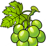 How to Draw Grapes, Fruits