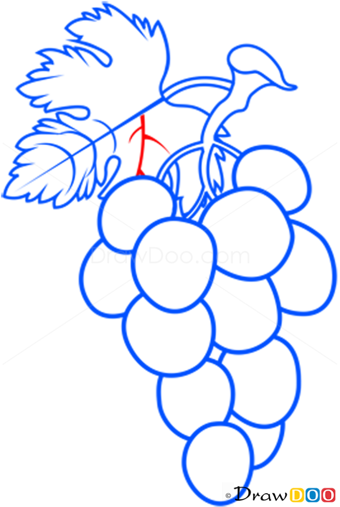 How to Draw Grapes, Fruits