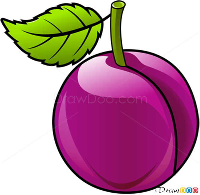 How to Draw Plum, Fruits