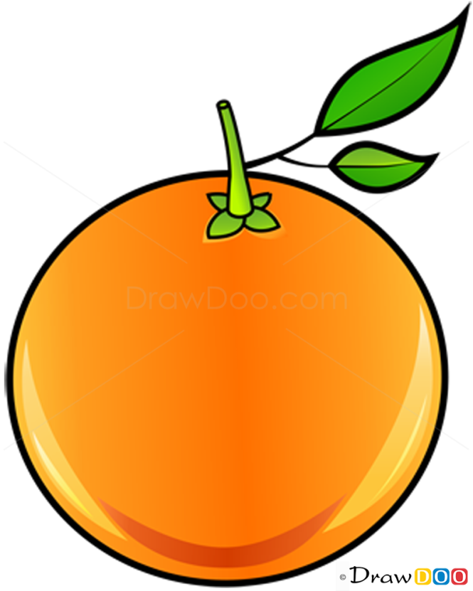 How to Draw Orange, Fruits