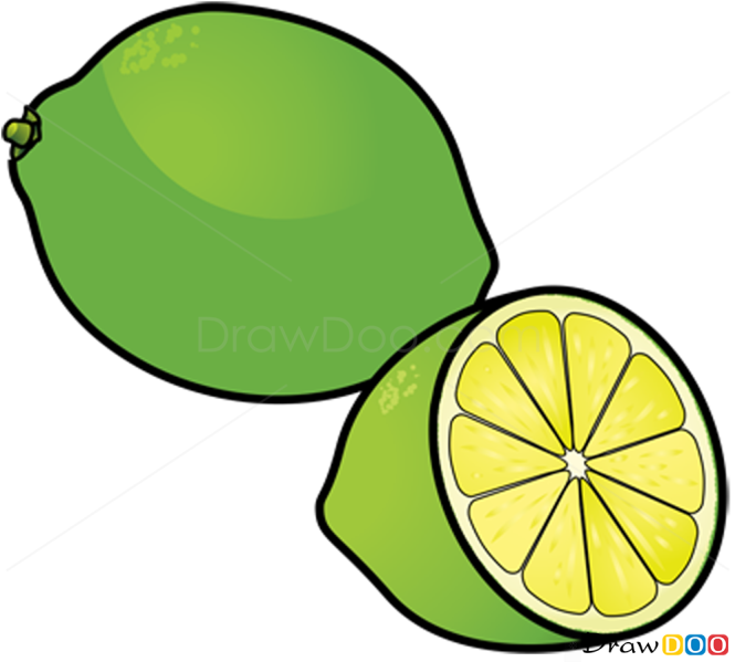 How to Draw Lime, Fruits