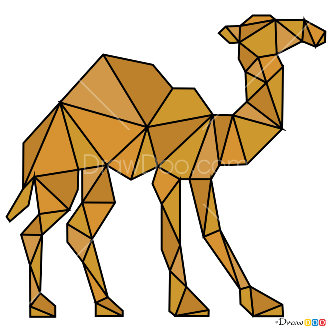 How to Draw Camel, Geometric Animals