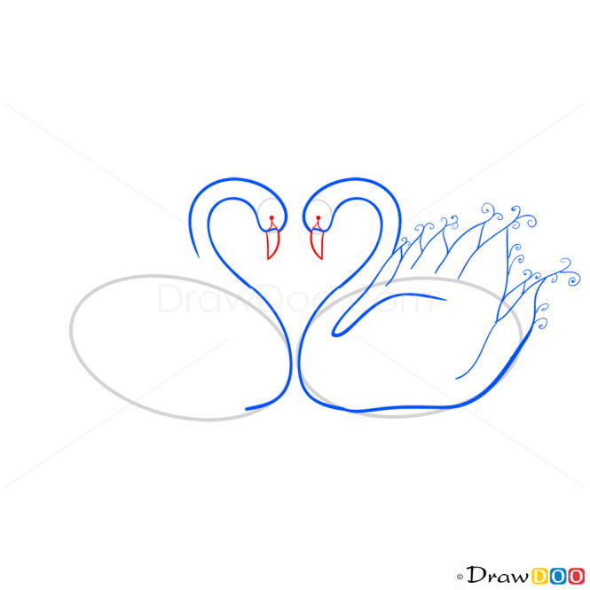 Swans Heart Shape, Step by Step Drawing Lessons
