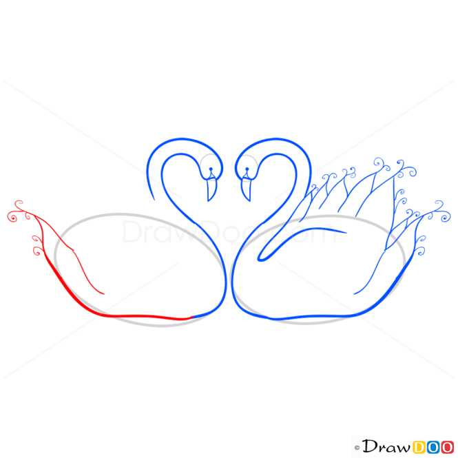 Swans Heart Shape, Step by Step Drawing Lessons