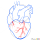 Human Heart Drawing, Step by Step Drawing Lessons