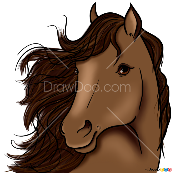 How to Draw Horse Portrait, Horses and Unicorns