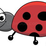 How to Draw Ladybug, Insects