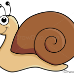 How to Draw Snail, Insects