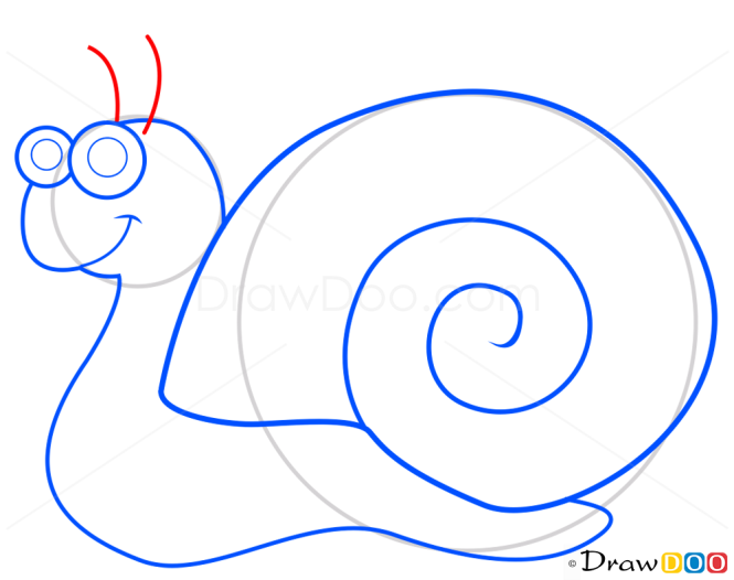 How to Draw Snail, Insects