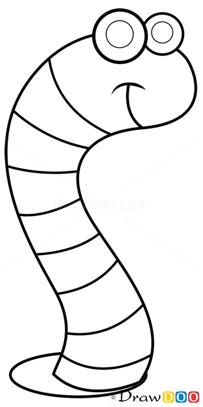 How to Draw Worm, Insects