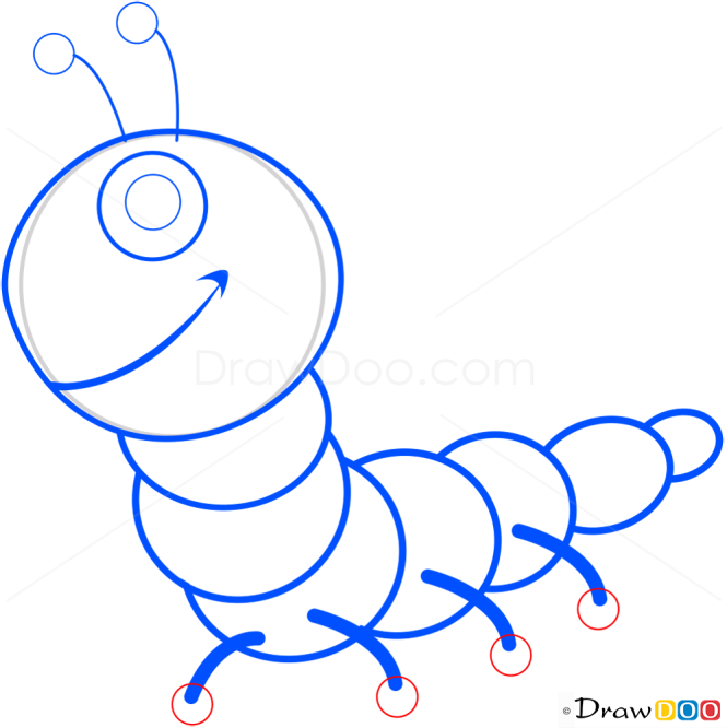 How to Draw Centipede, Insects