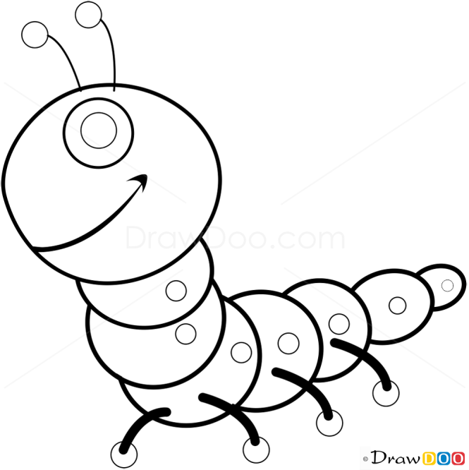 How to Draw Centipede, Insects