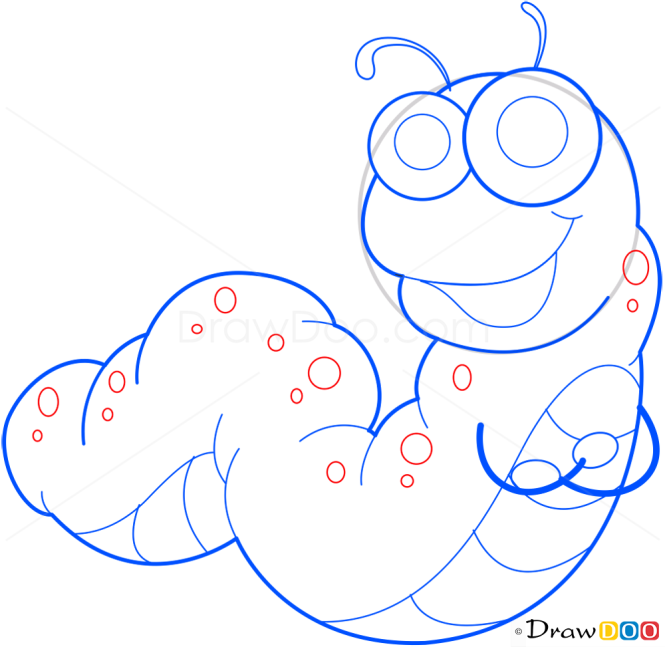 How to Draw Caterpillar, Insects