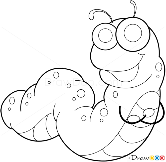 How to Draw Caterpillar, Insects
