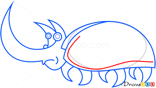 How to Draw Rhinoceros Beetle, Insects