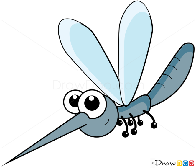 How to Draw Mosquito, Insects