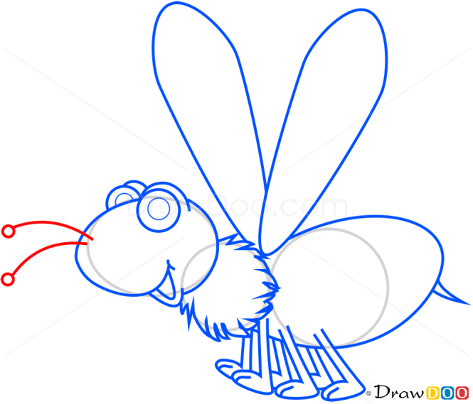 How to Draw Wasp, Insects