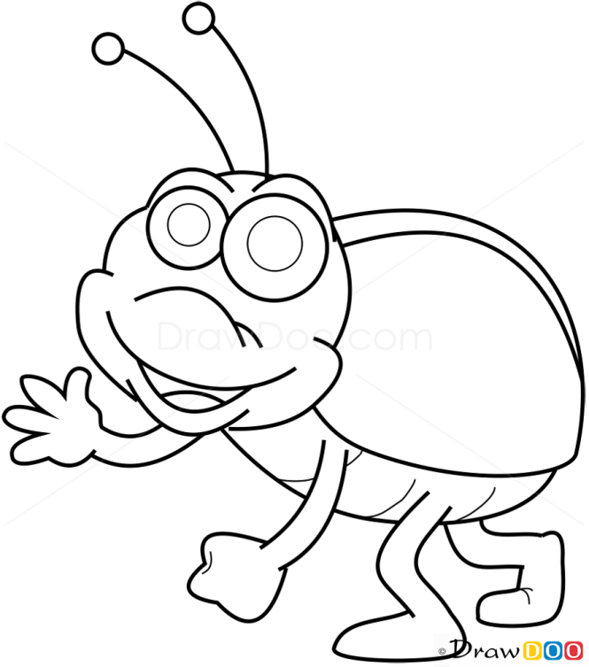 How to Draw Maybug, Insects