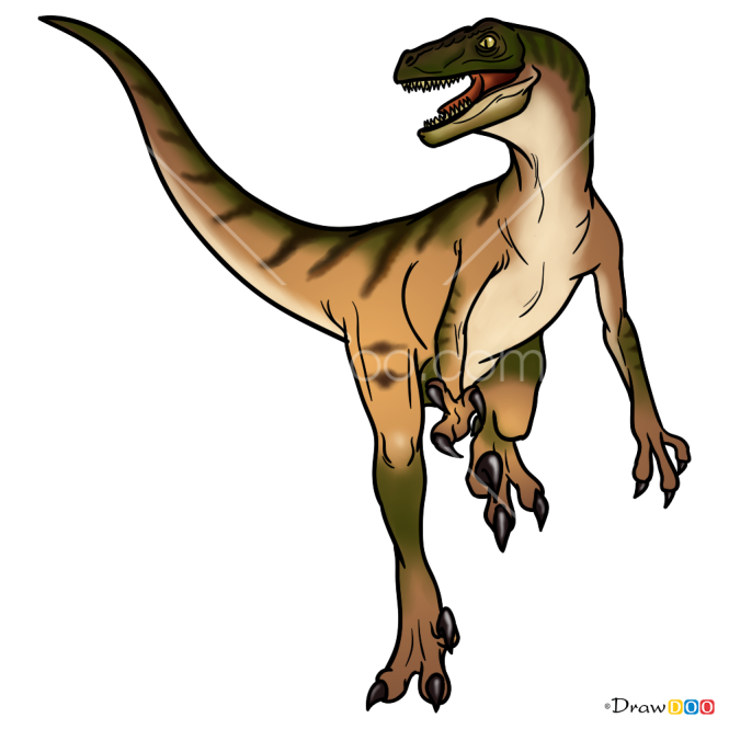 How to Draw Velociraptor, Jurassic Dinosaurs