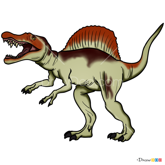 How to Draw Spinosaururs, Jurassic Dinosaurs