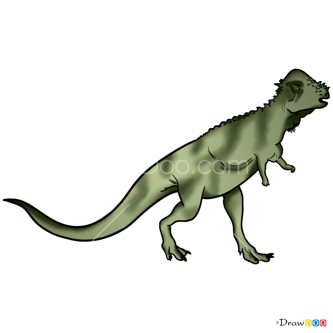 How to Draw Pachycephalosaurus, Jurassic Dinosaurs