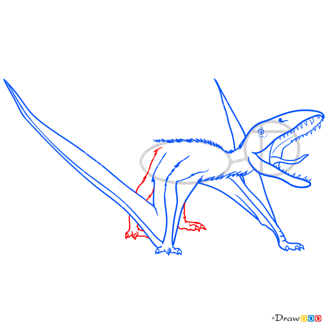 How to Draw Dimorphodon, Jurassic Dinosaurs