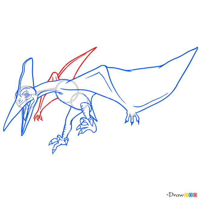 How to Draw Pteranodon, Jurassic Dinosaurs