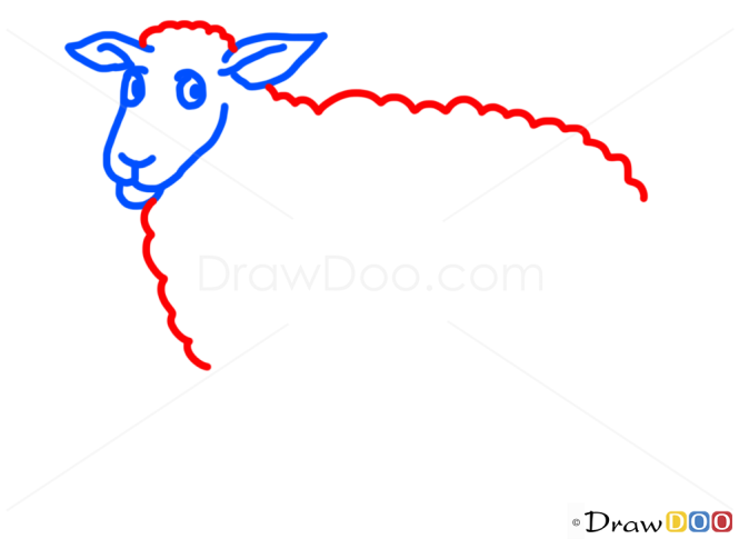 How to Draw Sheep, Kids Draw