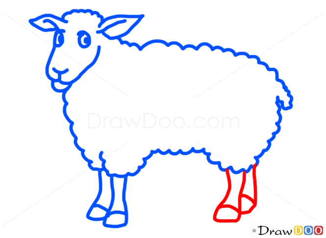 How to Draw Sheep, Kids Draw