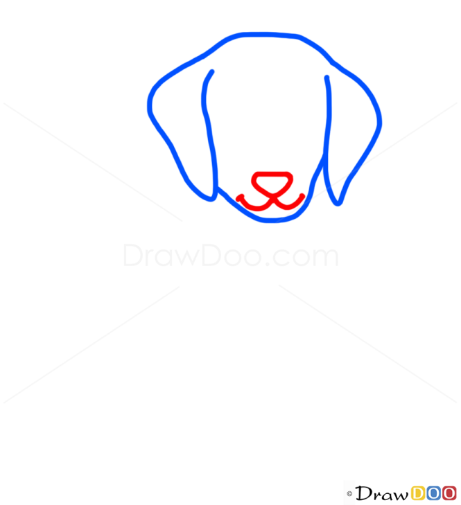 How to Draw Dog, Kids Draw