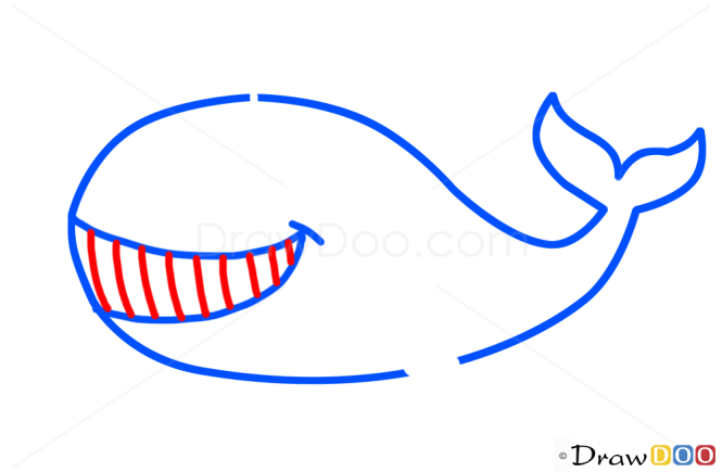 How to Draw Whale, Kids Draw