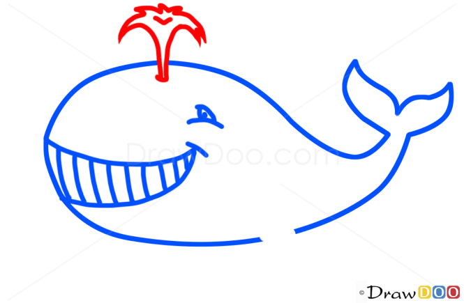 How to Draw Whale, Kids Draw