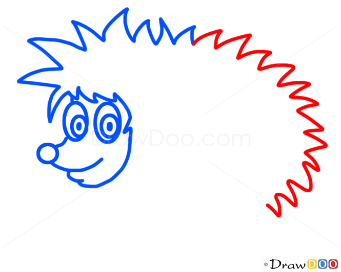 How to Draw Hedgehog, Kids Draw