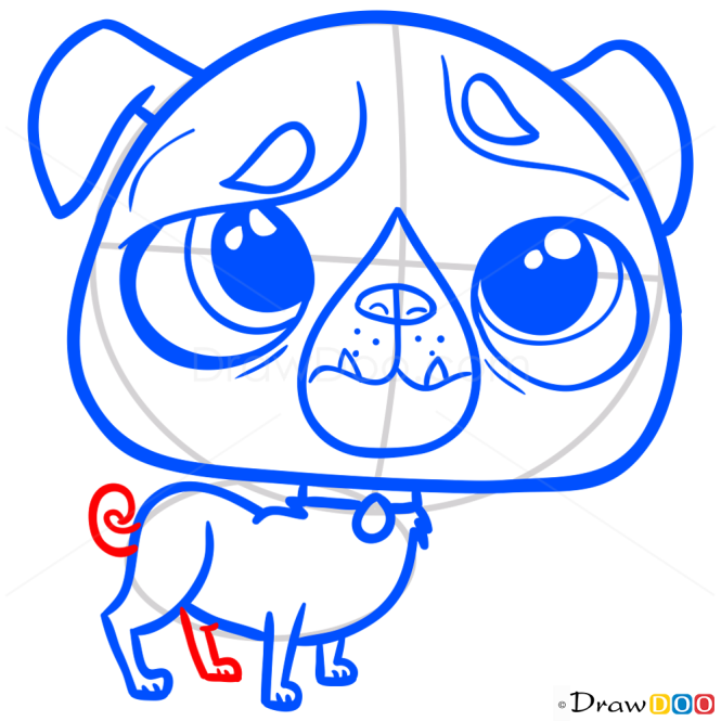 How to Draw Pug, Littlest Pet Shop